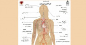 علائم و نشانه‌های کم کاری تیروئید