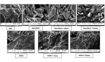 Innovative Organic Supplement for Ruminants Patented by University of Birjand Researchers