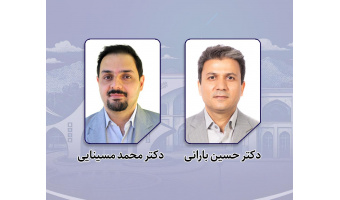 Birjand University Faculty Members Ranked Among the World’s Top 2% Scientists in 2025