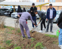 تجلی مسئولیت اجتماعی: کاشت درخت توسط دانشجویان جامعه‌شناسی