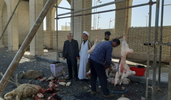 نذر قربانی دانشگاهیان دانشگاه بیرجند برای سلامتی امام زمان(عج) و رهبر معظم انقلاب